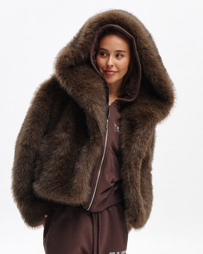 Women's Short Hooded Faux Fur Jacket, Dark Brown Teddy Coat, Street Style Winter Outerwear