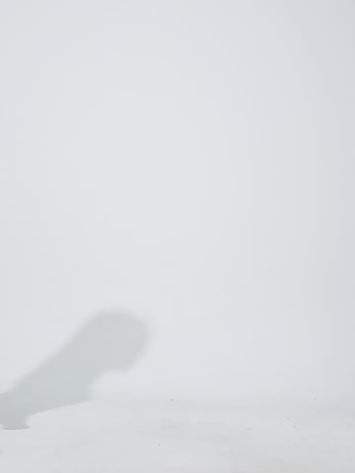 Load video: NURO Women's Slim-Fit Long Sleeve Workout Tee