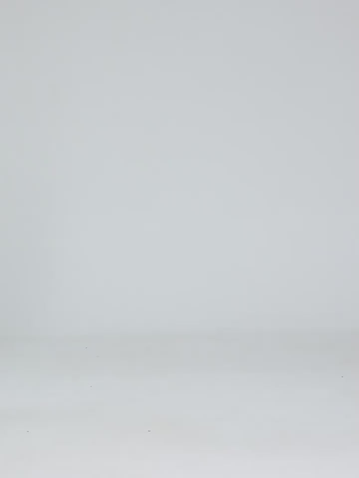 Load video: NURO Women's Cable-Knit Mesh Long Sleeve Crop Top with Built-in Bra